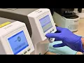 UC Davis test can detect both COVID-19 and the flu in 20 minutes