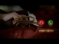 Download Lagu JAY SHAMBHO NARAYAN||MESSAGE TONE |.🔥🔥🔥 Mahadev sms tone Mahadev sms ringtone | jay mahakal ringtone Download Lagu JAY SHAMBHO NARAYAN||MESSAGE TONE |.🔥🔥🔥 Mahadev sms tone Mahadev sms ringtone | jay mahakal ringtone