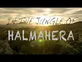 Download Lagu Halmahera Cinematic Drone Reel
