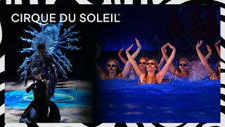 The Most Satisfying Performances | Cirque du Soleil