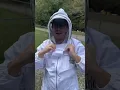 We Took Down a Giant Hornet Nest