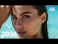 Lagu Alan Walker, Martin Garrix, Kygo, SoalexD \u0026 Zedd Style – Tropical Summer Energy