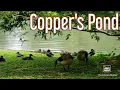Cooper s Pond Park in Bergenfield NJ