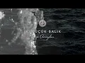 Merve Durceylan - İki Küçük Balık (Official Lyric Video)