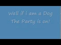 Download Lagu Baha Men - Who Let The Dogs Out Lyrics