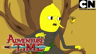 Quando outros roubam a cena | Hora de Aventura Brasil | Cartoon Network 🇧🇷