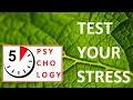 TEST YOUR STRESS LEVEL