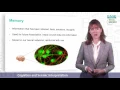 Download Lagu EAGE Student E-Lecture: Cognition and Seismic Interpretation, by Gaynor Paton