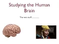 Introduction to Cognitive Science for Undergraduates Lecture 16
