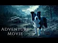 Download Lagu A Dog Who Survived a Disaster Brings a New Chance at Life | HD Adventure Movie