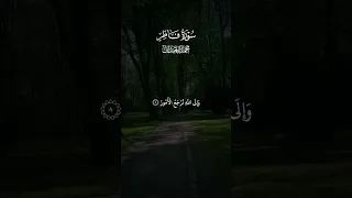 الحمد لله فاطر السماوات والأرض جاعل الملائكة رسلا أولى أجنحة 