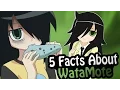 Top 5 Facts - WataMote