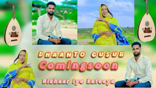 DHAANTO CUSUB COMINGSOON BISHAAR AWAL IYO KAFEEYA SARHAYE 2025 VEDIO  DHAANTO CUSUB COMINGSOON BISHAAR AWAL IYO KAFEEYA SARHAYE 2025 VEDIO