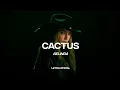 Belinda - Cactus CantoYo