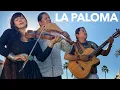 Download Lagu LA PALOMA - INKA GOLD feat TERESA JOY