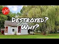 Willows Weep House Demolition Reveal Update
