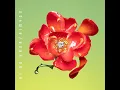 愛の花 - ai no hana - aimyon