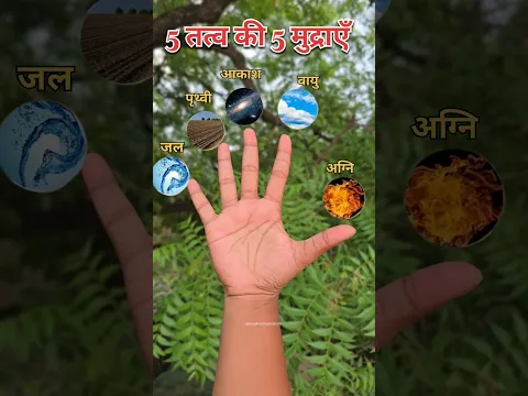 Pancha Tatva - Five elements the foundation of your body & mindBalance #yogafusionpriyanshi #shorts