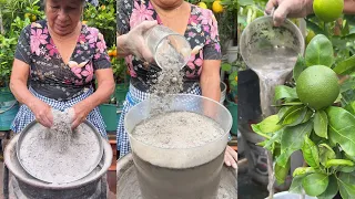 Como poder utilizar este abono en nuestras plantas de casa