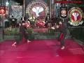 Download Lagu Pencak Silat  Ijen Seru Putra Kasepuhan Gadjah Putih Sogarimba   Adi \u0026 Deddy