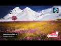 Surah Yasin 🚫 NO Midroll ADS  | Yaseen with Urdu Translation | Quran Tilawat | Tarjuma