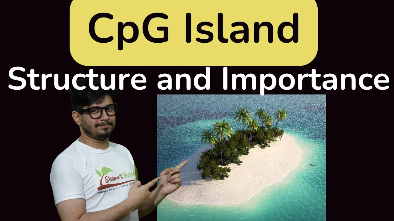 CpG Island methylation | Role of cpg island in DNA methylation | cpg islands csir net