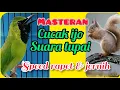 Download Lagu MASTERAN CUCAK IJO||suara tupai/bajing||materi mewah!!