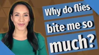 Why do flies bite me so much