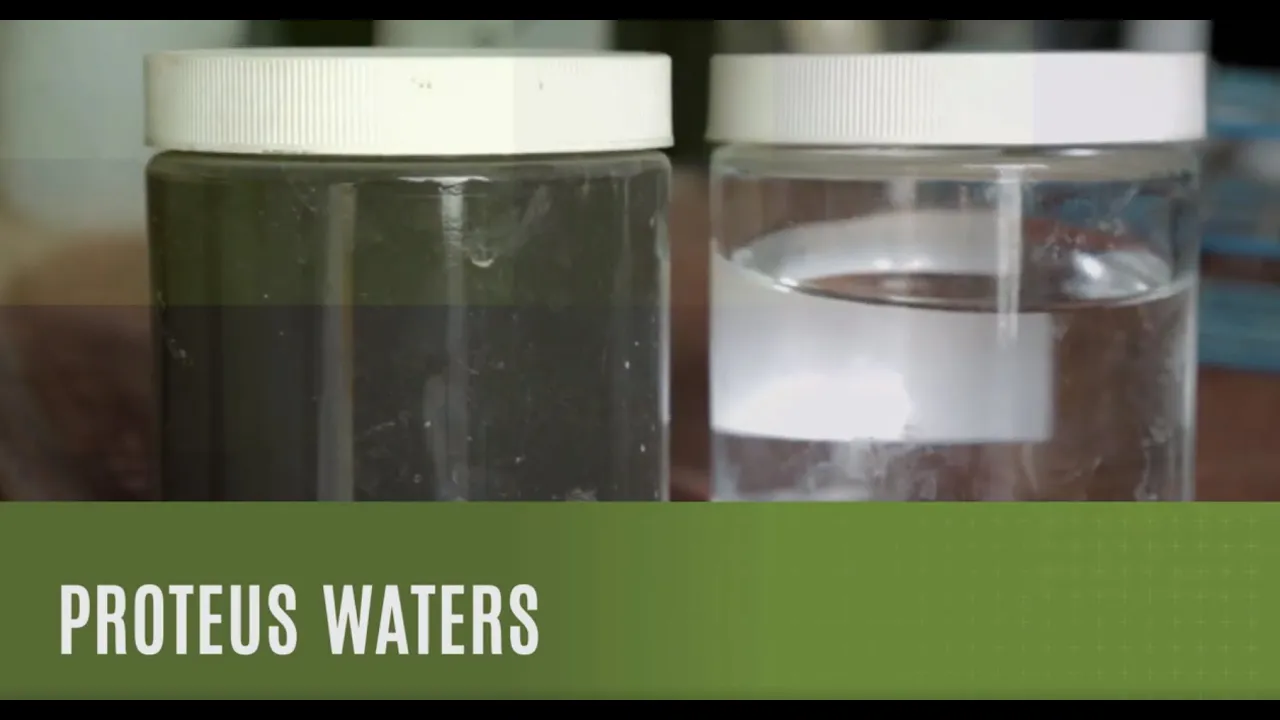 Proteus Waters - Feature