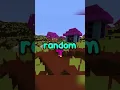 i randomized minecraft s textures