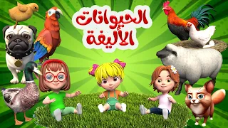 اغنية الحيوانات الأليفة     اغاني اطفال بون بون دندنها
