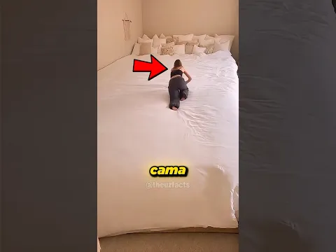 ELA CONSTRUIU UMA ESTRUTURA GIGANTE PARA SOBREVIVER À TEMPESTADE! 😲✨