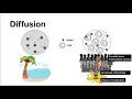 Diffusion weighted imaging - DWI ADC b-values simplified