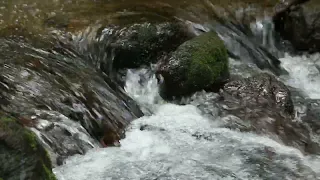 Waterfall Sound صوت خرير الماء بدون موسيقى 4K 