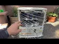 Kerosene Heater Wick Replacement