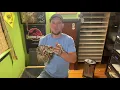 Burmese python breeding