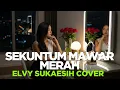 Download Lagu Cover Dangdut \