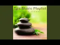 Download Lagu Burung yang Menenangkan dengan Musik untuk Pijat