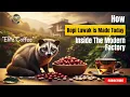 How Kopi (Coffee) Luwak Is Made Today: Inside the Modern Factory #dmdprocess #aiprocess #CoffeeLover