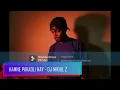 Download Lagu HAMNE PAKADLI  HAI || Diler Mehndi Party Songs || TAPORI MIX || DJ NIKHIL Z @djnikhilzofficial