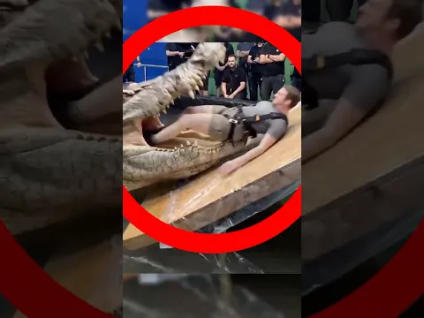ESCENAS ANIMALES que no vas a creer