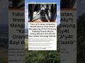 Download Lagu #mayat #ciliwung #jembatan #kolong #fypシ゚viral #viralvideo #shortvideo #youtubeshorts