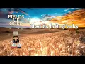 Sting - Fields of Gold [ Lyrics ] ♧ 1 HOUR Loop