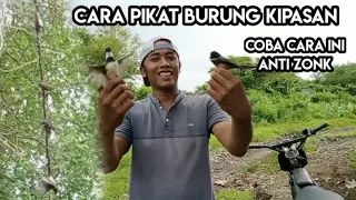 Download cara pikat burung kipasan, sikatan atau murai gila MP3