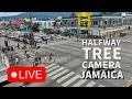 Half Way Tree LIVE - Jamaica s Busiest Transport Centre