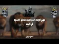 مهرجان حافظ علي صحبتك (هعيش اونطه) | عصام صاصا × الكروان | توزيع خالد لولو | حالات واتس