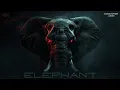 Download Lagu Christopher Ladex - ELEPHANT