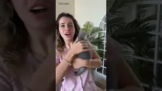 ردة فعل لانا ولين محمد على قطة اخوهم مصطفى الجديدة 