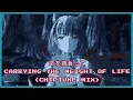 【Cover】Xenoblade 3 - Carrying the Weight of Life / 命を背負って (Chiptune Mix)