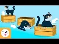 Prepositions of place for children - The concept of space for kids